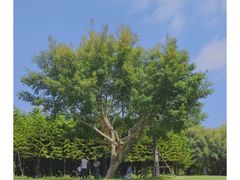 -五通灯塔公园
