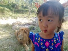 -石家庄市动物园