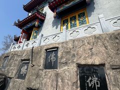-高尔山公园