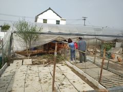 -小鱼草莓采摘园农家乐·小鱼餐厅