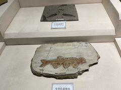 -辽宁古生物博物馆
