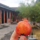 第一次烤山楂，我真的爱了