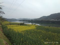 -新安江山水画廊风景区