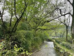 -随意茶庄·地道杭帮农家菜(梅家坞店)