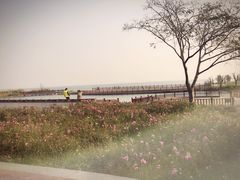 -新木器时代餐厅(太湖新天地店)