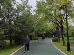 -迎泽公园