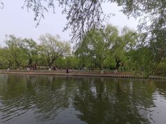 -万泉公园