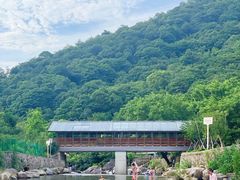 -北仑森林植物园