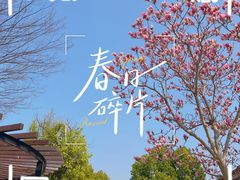 -沙家浜风景区