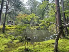 -西芳寺(苔寺)