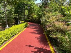 -西安汉城湖景区