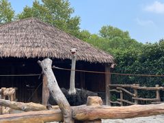 -上海野生动物园