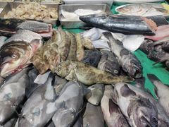 -木柴豆腐·活海鲜·鲁菜