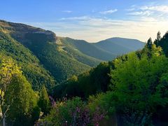 -佛慧山