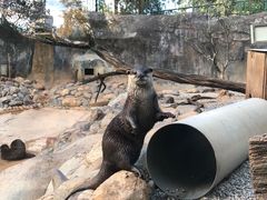-昆明动物园