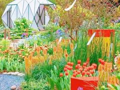 -深圳市中科院仙湖植物园