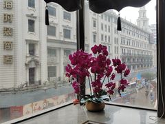 -新雅粤菜馆(南京东路店)