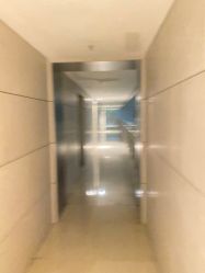-韩善形象纹绣阁纹野生眉