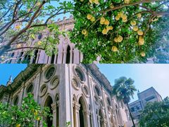 -古德寺