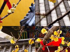 -宝通禅寺