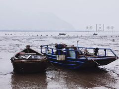 -北岐滩涂