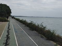 -贡湖湾湿地公园