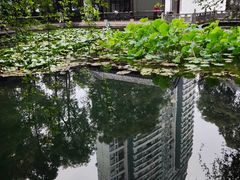 -温江公园
