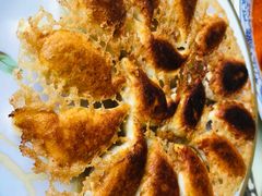 猪肉酸菜煎饺-石老头关东饺子王·东北菜(嘉华鑫城店)