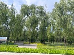 -野鸭湖国家湿地公园