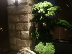 -儒忆孔府菜(清控店)