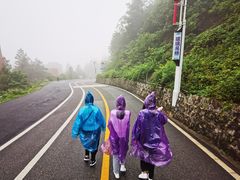 -梦幻奥陶纪景区