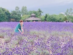 -富田农场