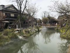 -梁鸿国家湿地公园