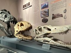 -自贡恐龙博物馆