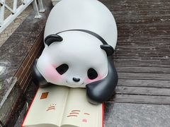 -轩客会(熊猫书店)
