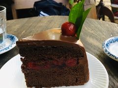 -Fern Forest Cafe