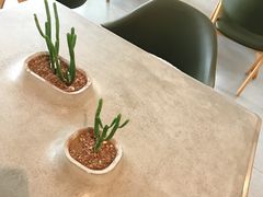 -今日艺术汇书店