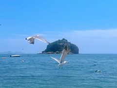 -棒棰岛宾馆景区