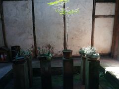 -尧坝古镇