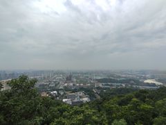 -杭州半山国家森林公园