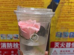 -海底捞火锅(新华联梦想城店)