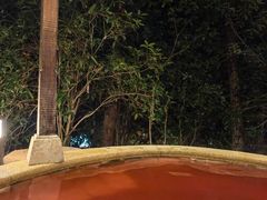 -天目湖涵田半山温泉