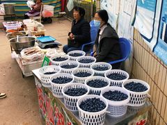 -抚仙湖禄充风景区