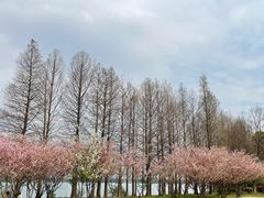 -石湖景区