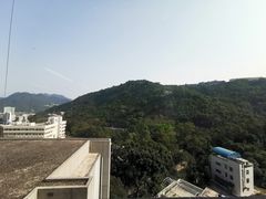 -大埔公路-马料水段香港中文大学(公交站)