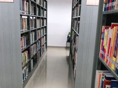 -宝安区图书馆(石岩街道分馆)
