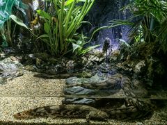 -太平洋海底世界