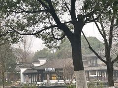 -日出青木
