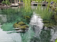 -趵突泉景区