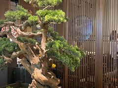 -苏帮袁Sue Cuisine(南开大悦城店)